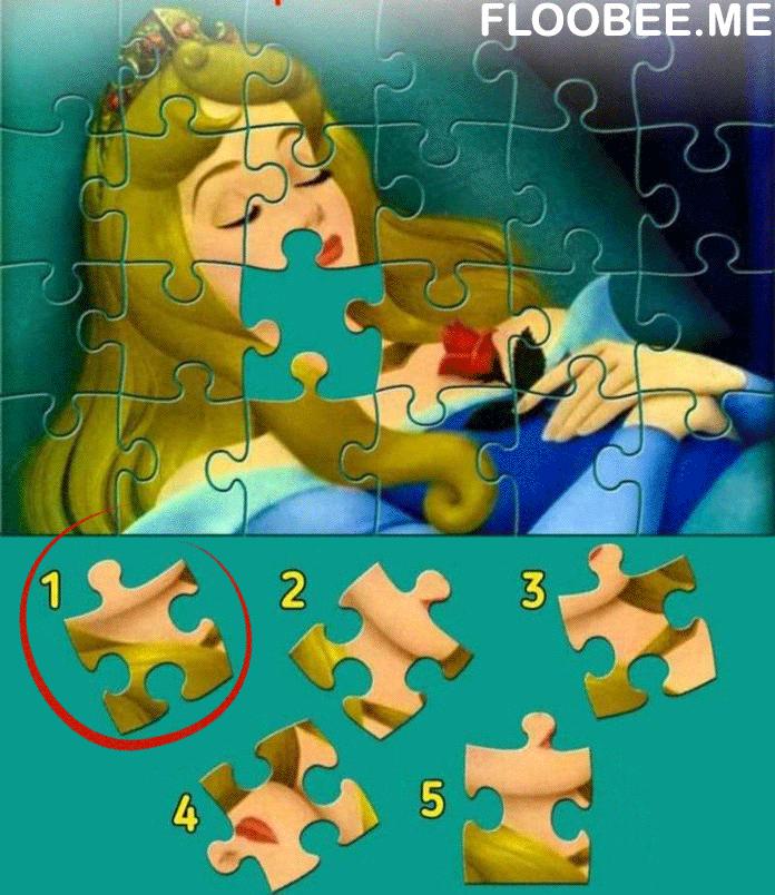 Sleeping Beauty Puzzle
